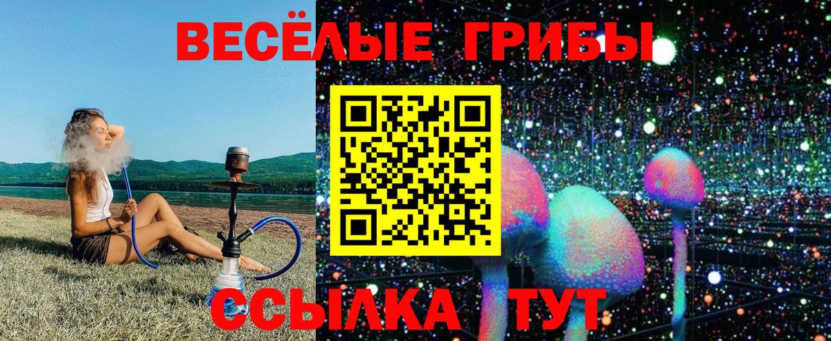 Дятьково  Псилоцибиновые грибы Psilocybe  Вход с VPN 