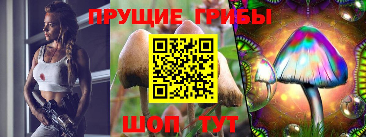 Псилоцибиновые грибы прущие грибы Дятьково